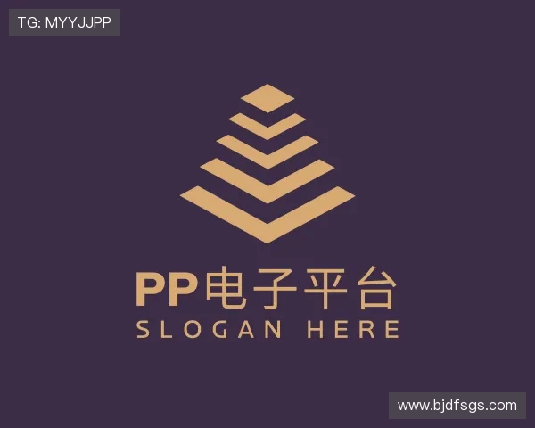 关于pp电子平台